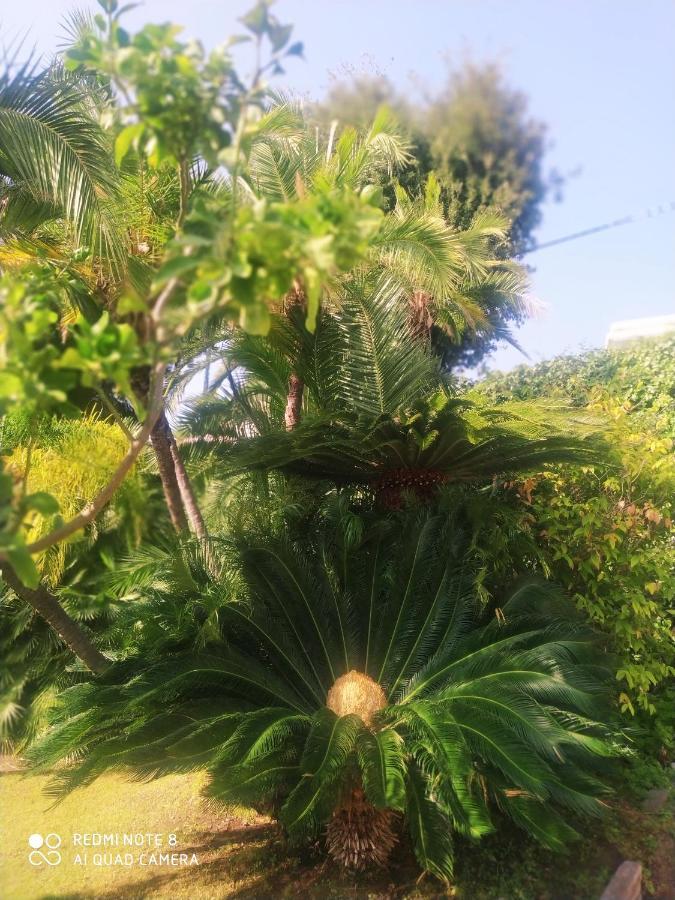 Pergolato Suite Sanremo Exteriör bild